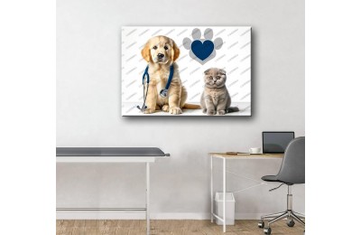 Pet Center Dekorasyon Veteriner Kliniği Tabloları Steteskop Kedi ve Köpek vtr48